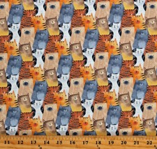 Cotton Cats Kittens Kitties Kitty Felines Pets Fabric Print by the Yard D377.52 - £10.20 GBP