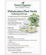 philodendron Plant Media Culturing Gel Cups Pre-Sterilized Ready To Use ... - $33.26