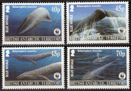 ZAYIX British Antarctic Territory BAT 326-329 MNH Whales WWF 041123-S105 - £6.81 GBP