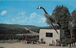 Wawa Ontario Canada The Wild Goose Hudson&#39;s Bay Company Postcard 1965 - £6.70 GBP