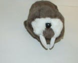 Ocean Park Hong Kong plush walrus stuffed animal souvenir  - $9.89