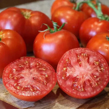 50 Better Boy Heirloom Tomato Seeds USA  - $11.61