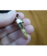 (g175-3) 1-1/4&quot; GATOR Alligator claw toe 925 SILVER CAPPED pendant JEWELRY - $45.64 CAD