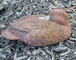 Jim Palmer Signed Resin Duck Red Head Hen #6 Decoy 6 in Carved Figure - £30.93 GBP