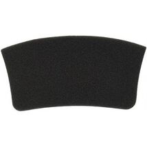 1 Bissell Vacuum Filter 2038427 Canister / Post Motor 4122 - $11.54 CAD