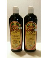 2X Shampoo Quetzal Helps in the regrowth of hair, Auxiliar en la caida d... - $39.64 CAD