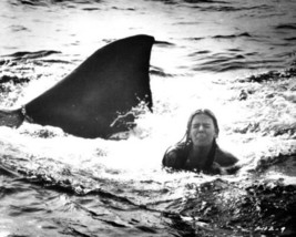 Jaws 2 1978 Cindy Grover as Lucy gets a shark surprise 8x10 inch photo - £7.79 GBP