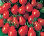 60 Red Pear Tomato Seeds Heirloom Non Gmo Fresh Fast Shipping - £7.22 GBP