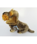 Wire Haired Dachshund 12" plushie gift wrapped with an engraved tag or not  - $40.00+