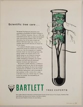1955 Print Ad Bartlett Tree Experts Scientific Care Research Labs Stamford,CT - £14.78 GBP