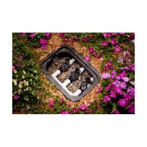 Rain Bird 1-Inch Sprinkler System Automatic In-Line Valve CP100  - $80.00