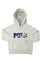 Polo Ralph Lauren Boys Grey Chenille USA Logo Hoodie Sweater,  4/4T 9409-4 - £42.72 GBP