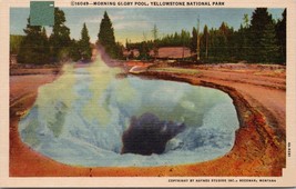 Morning Glory Pool Yellowstone National Park Postcard PC501 - £3.92 GBP
