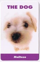 Trade Card Dog Calendar Card 2003 The Dog Maltese - £0.78 GBP