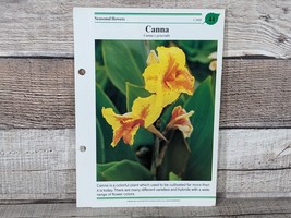 Canna Card #44 Success W/House Plants 1985 Single Replacement Fold Out Card - £2.63 GBP