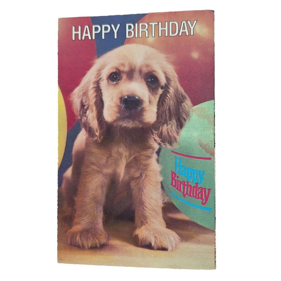 Postcard Happy Birthday Cocker Spaniel Dog North Shore Animal League Chrome - $4.84