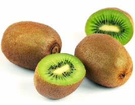 Edible Fruit Actinidia chinensis - TOMURI Male Hardy Fuzzy Kiwi Fruit Plant  - £41.01 GBP