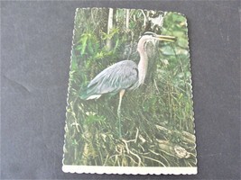 Great Blue Heron, Florida - 1974 Postmarked Postcard. - £7.11 GBP