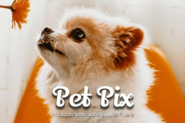 30 pet pix photoshop actions vid thumb200