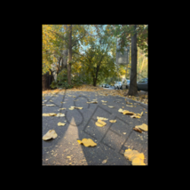 Kazakhstan Fall 2022 - Original Digital Photograph of Falling Leaves, Blockchain - £0.99 GBP