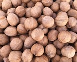 2023 AR Shagbark Hickory Nuts  2 Lbs Bag Organic - $24.74