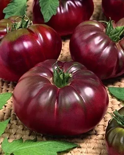 50 Seeds Black Prince Tomato Juicy Tomatoe Garden Food - £4.55 GBP