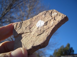 Item image 15