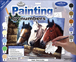 Junior Large Paint By Number Kit 15.25&quot;X11.25&quot;-3 Of A Kind - £12.42 GBP