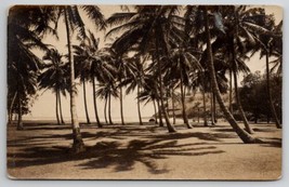 RPPC Beautiful Beach Scene and Pretty Palm Trees c1920s Postcard I23 - £11.72 GBP