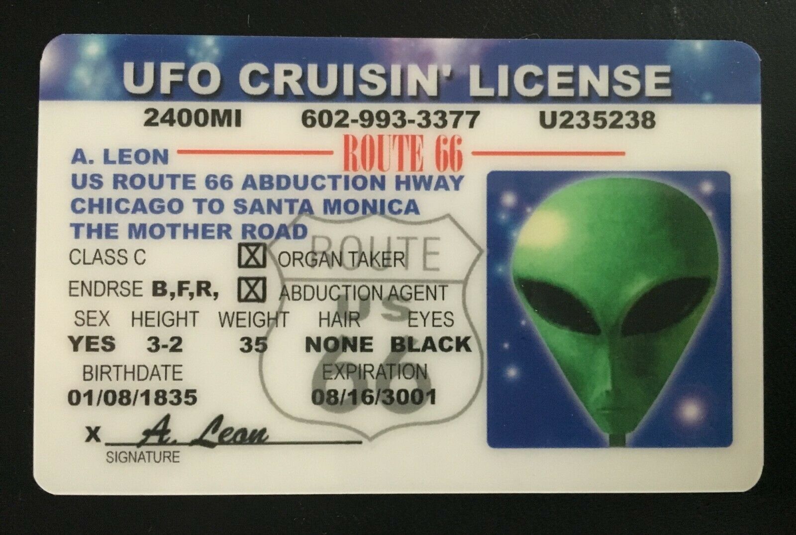 UFO Cruisin License MAGNET Alien Route 66 Novelty ID Cruising Mother Road - $9.89