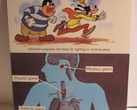1978 Walt Disney&#39;s Fun &amp; Facts Flashcard #DFF4-17: Glands - $2.00