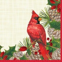 Red Cardinal Christmas Plaid Paper 16 Ct Beverage Cocktail Napkins - £2.83 GBP