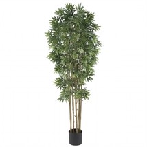 6 in. Bamboo Japanica Silk Tree - £133.42 GBP