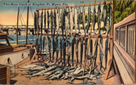 Postcard Florida Fort Myers Catch of Kingfish Linen Vintage 1940 6 x 4 &quot; - £4.59 GBP