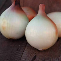 Ship From Us Walla Walla Onion Seeds ~2 Oz Packet Seeds - Heirloom, NON-GMO TM11 - £72.69 GBP