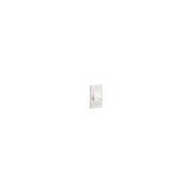 Panduit CFPSL2WHY FACEPLATE 2PT CLASSIC SLOPED WHT EA - $514.51 MXN