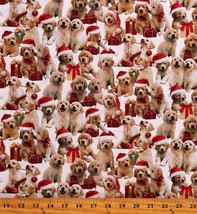 Cotton Golden Labs Labradors Puppies White Fabric Print by Yard D400.57 - £10.99 GBP