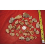 (k-4040) 100 g Rare Kauri tree Gum chips copal Amber New Zealand Tane Ma... - €54,18 EUR