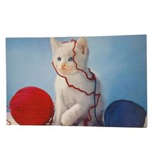 Postcard White Kitten Cat Playing With Blue and Red Yarn Chrome Unposted - $4.84