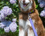 Lavender Garden Waterproof Dog Leash Standard Length - £33.77 GBP