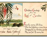 Christmas Greetings From California Pepper Boughs Land of Sunshine Postc... - $3.91