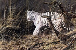 Giclee Oil Painting Decor Home Decor White Tiger Animals - £7.56 GBP+