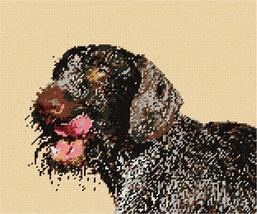 Pepita Needlepoint kit: German Wirehaired Pointer, 12&quot; x 10&quot; - $86.00+