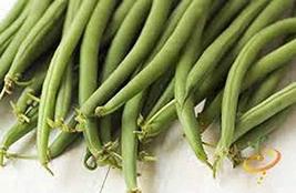 &quot;COOL BEANS n SPROUTS&quot; Brand, Top Crop Bean Seeds. 4 Ounce A Garden Favo... - £3.88 GBP
