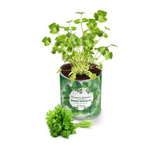 My Canned Garden Seedling Growing Kit Parsley - £21.91 GBP