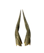 Real Bushbuck Skull Animal TAXIDERMY Animal Skull Antelope Skull Deer Skull - $133.74 CAD