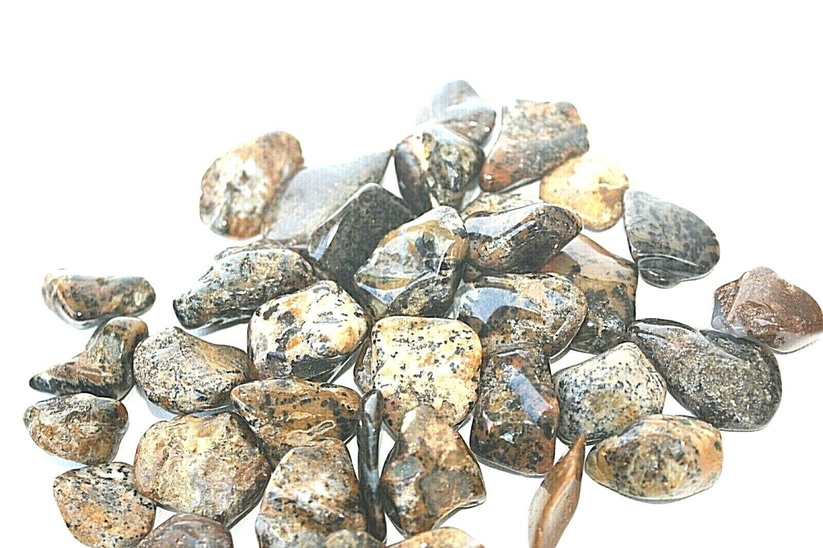 One Cheetah Agate Tumbled Stone 30-35mm Reiki Healing for the Healer Cry... - $1.93