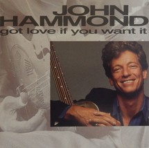 John Hammond - Got Love If You Want It (CD 1992 Pointblank Virgin) Near MINT - £5.81 GBP