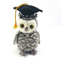 Smart The Owl Class of 2001 Retired Ty Beanie Baby MWMT Collectible New - £4.44 GBP