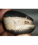 Raro Laxmi Narayan Shaligram/Lakshmi Narayana Salagram - Gandaki River N... - €408,49 EUR